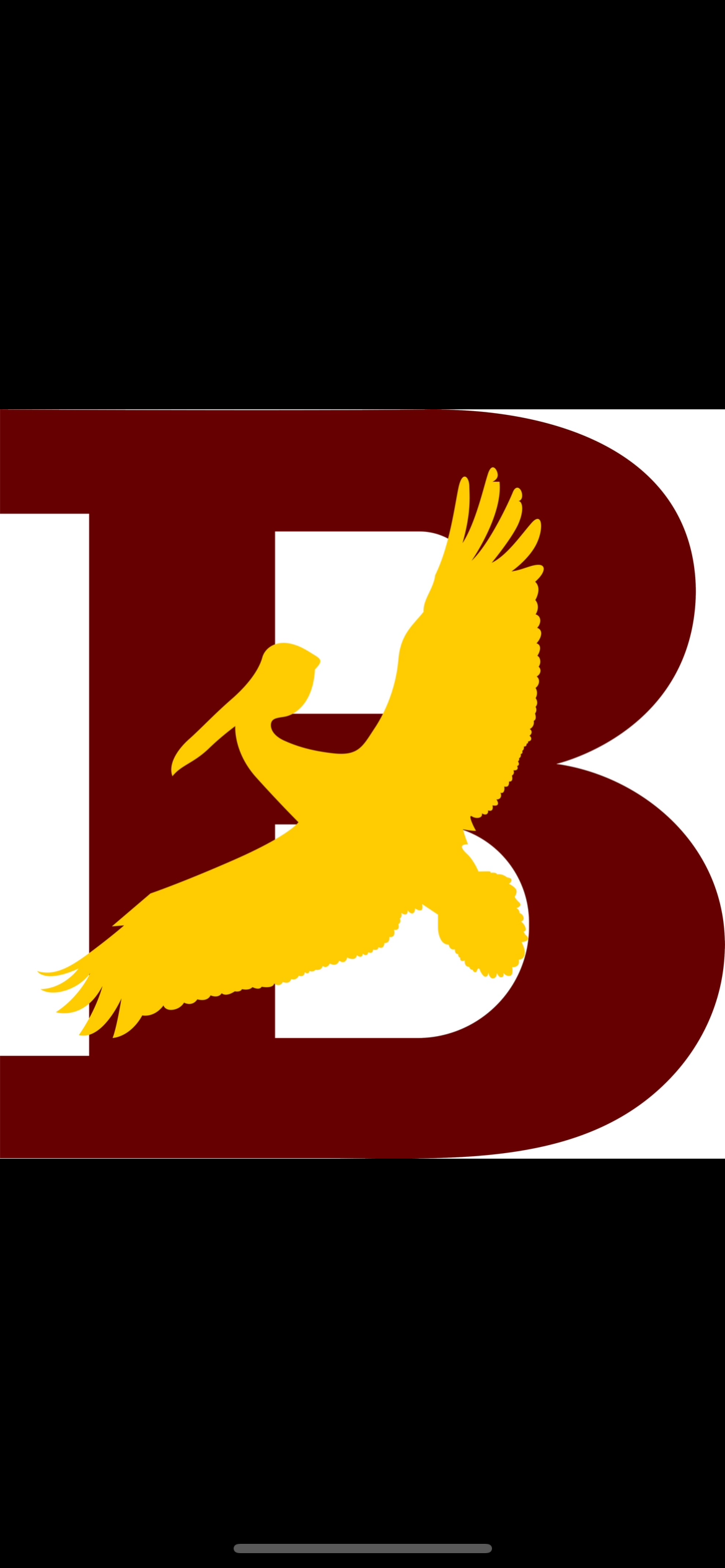 B.R.D.S.
